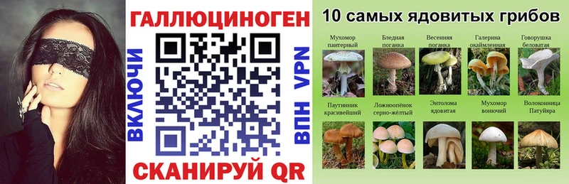 Псилоцибиновые грибы Magic Shrooms  Курлово 